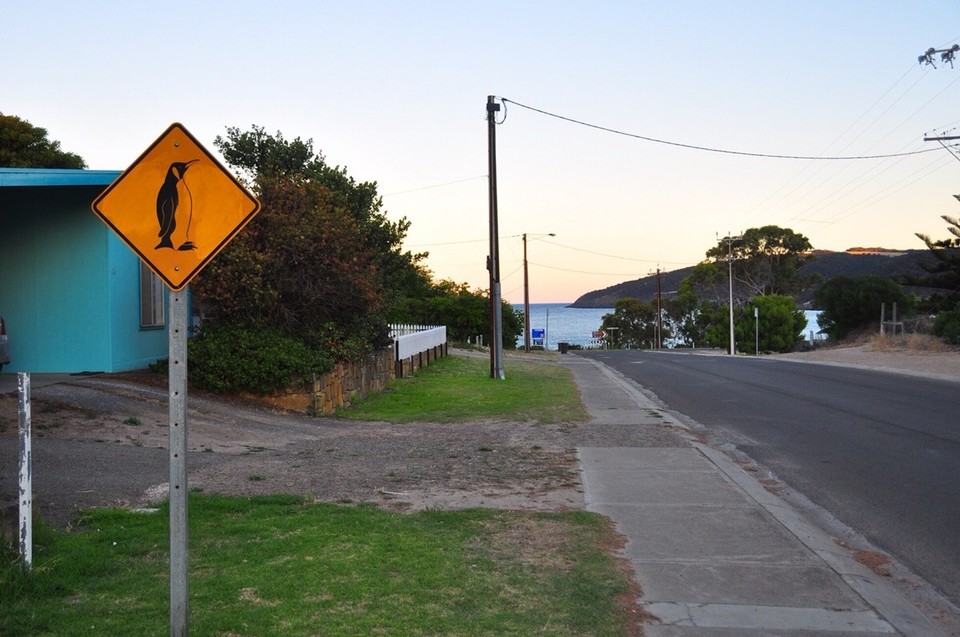Australien - Penneshaw - 