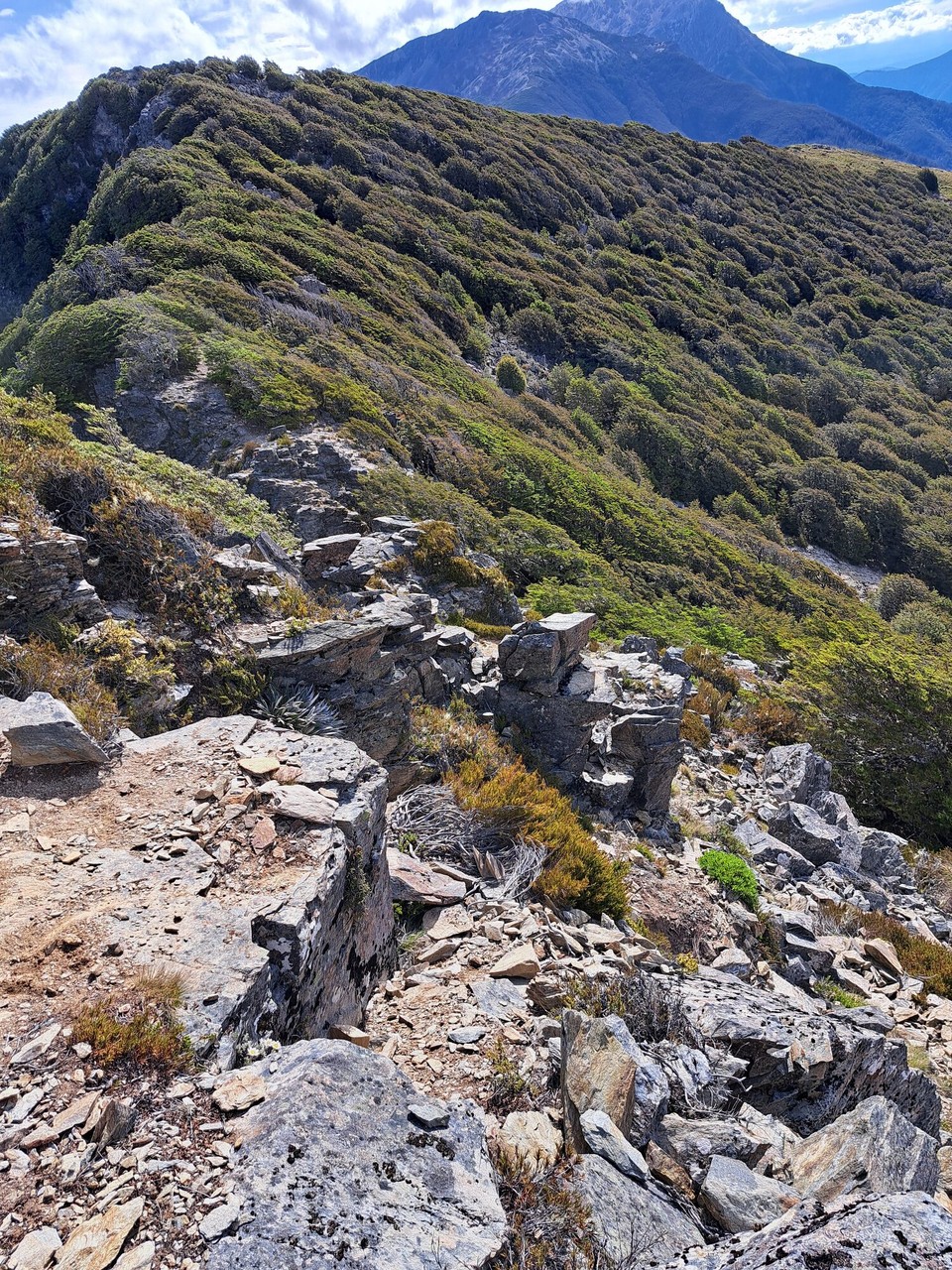 Neuseeland - unbekannt - 