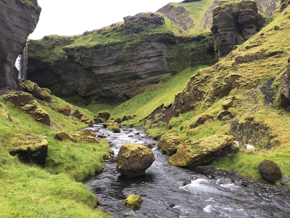 Iceland - Skógar - 