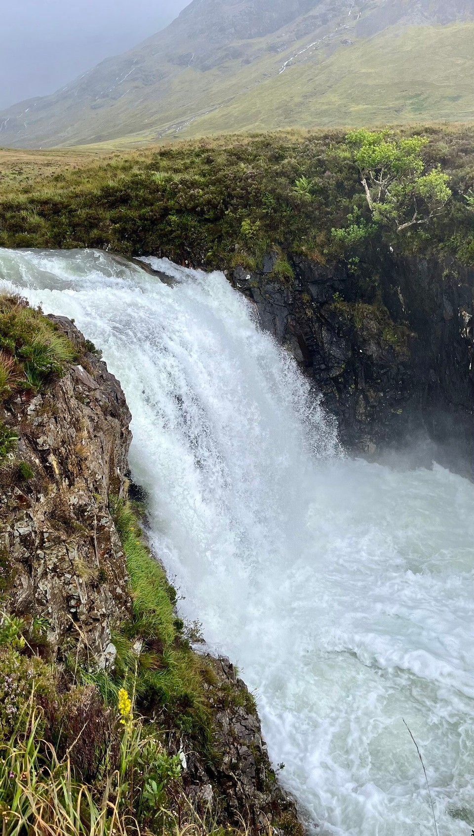 United Kingdom - Grula - 