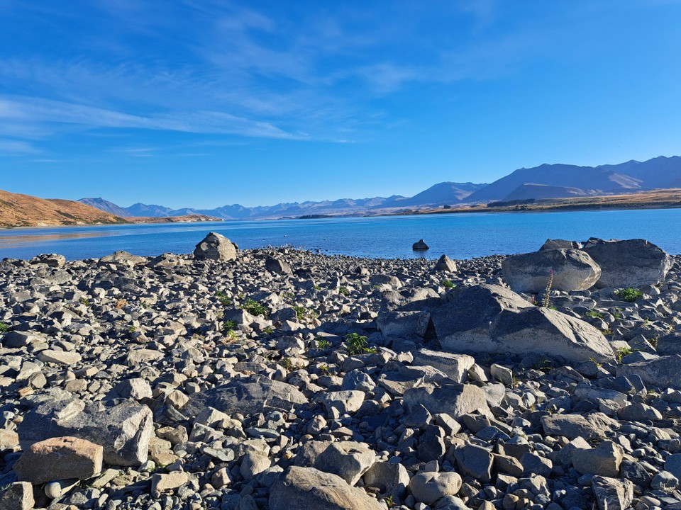 Neuseeland - Twizel - Kontemplation 
