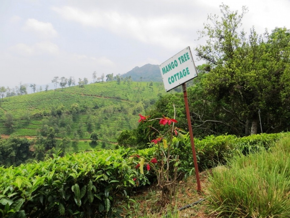Indien - Coonoor - 
