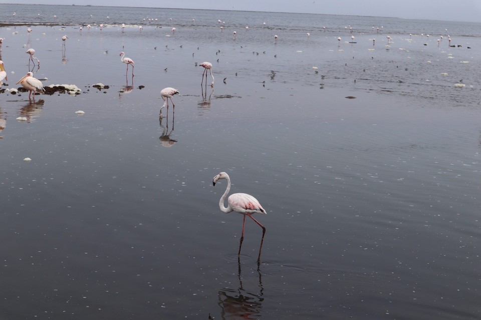 Namibia - Walvisbaai - 