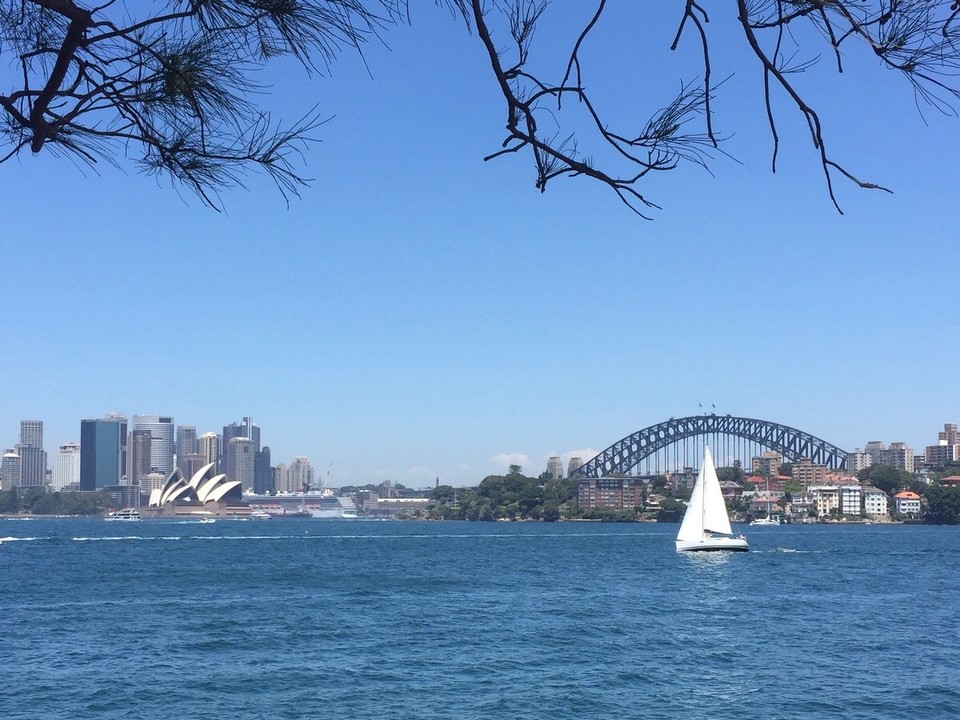 Australien - Cremorne Point - Super Aussicht von unserem Fährhafen, der 3 Minuten zu Fuß von der Wohnung entfernt liegt