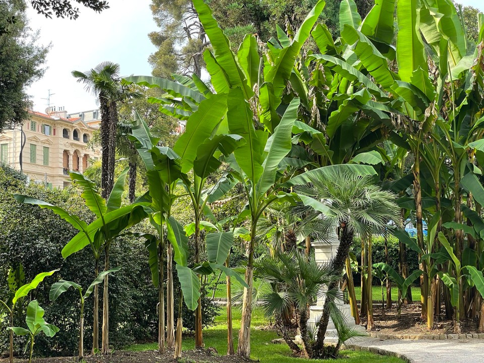 Kroatien - Opatija - 