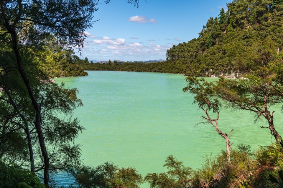 Neuseeland - Rotorua - 