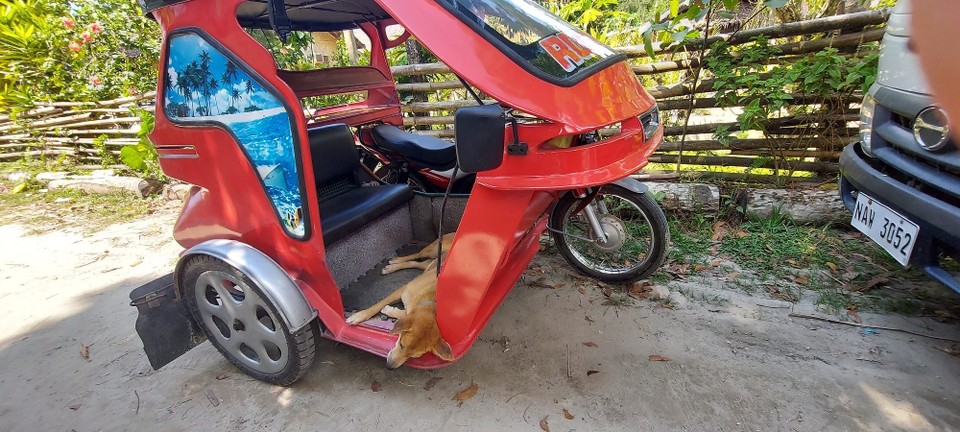 Philippines - San Vicente - 