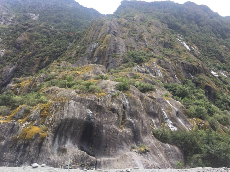 Neuseeland - Franz Josef Glacier - 