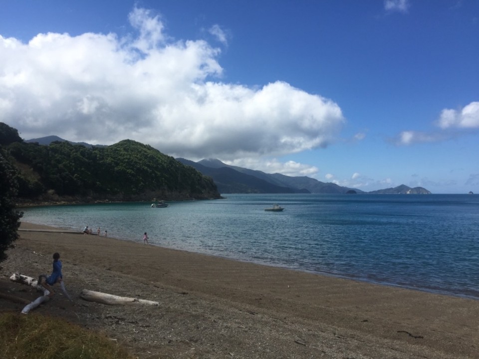Neuseeland - French Pass - 