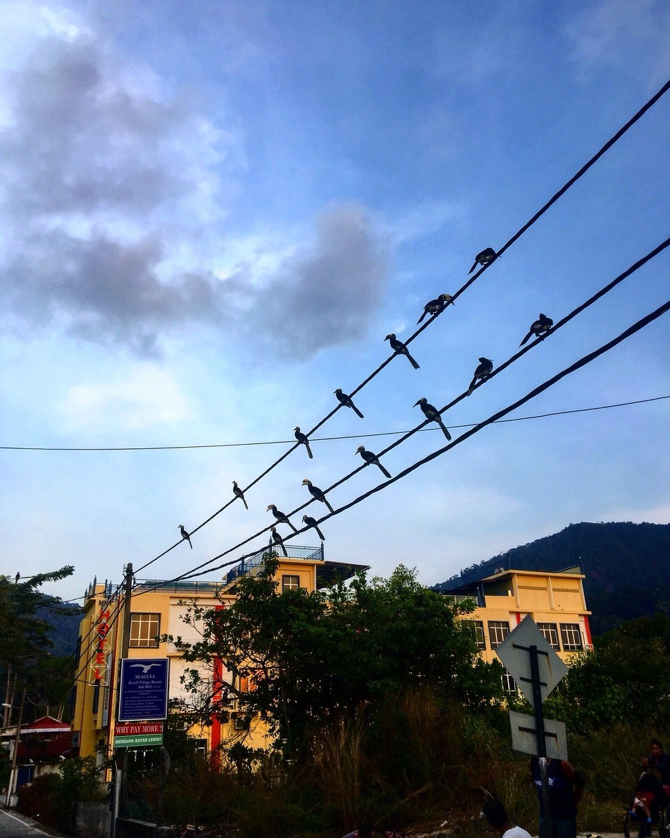 Malaysia -  - 😃😃