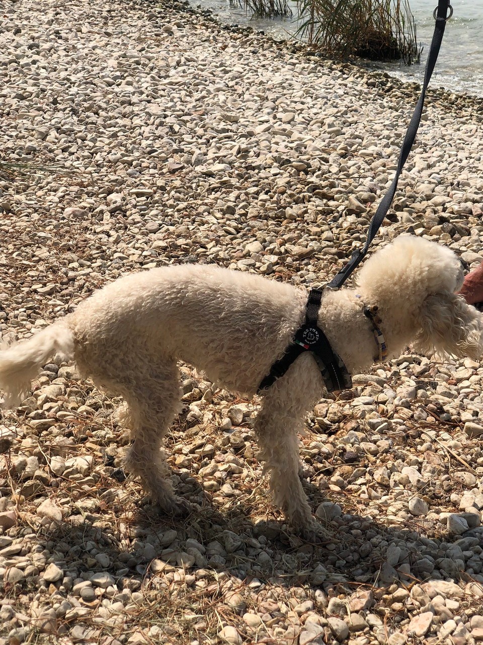 Italien - Bardolino - 