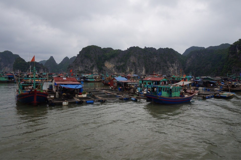 Vietnam -  - 