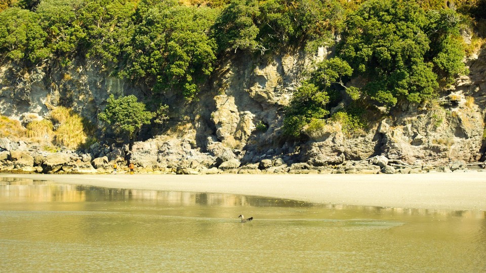 Neuseeland - Bowentown - Am Ende doch Strand