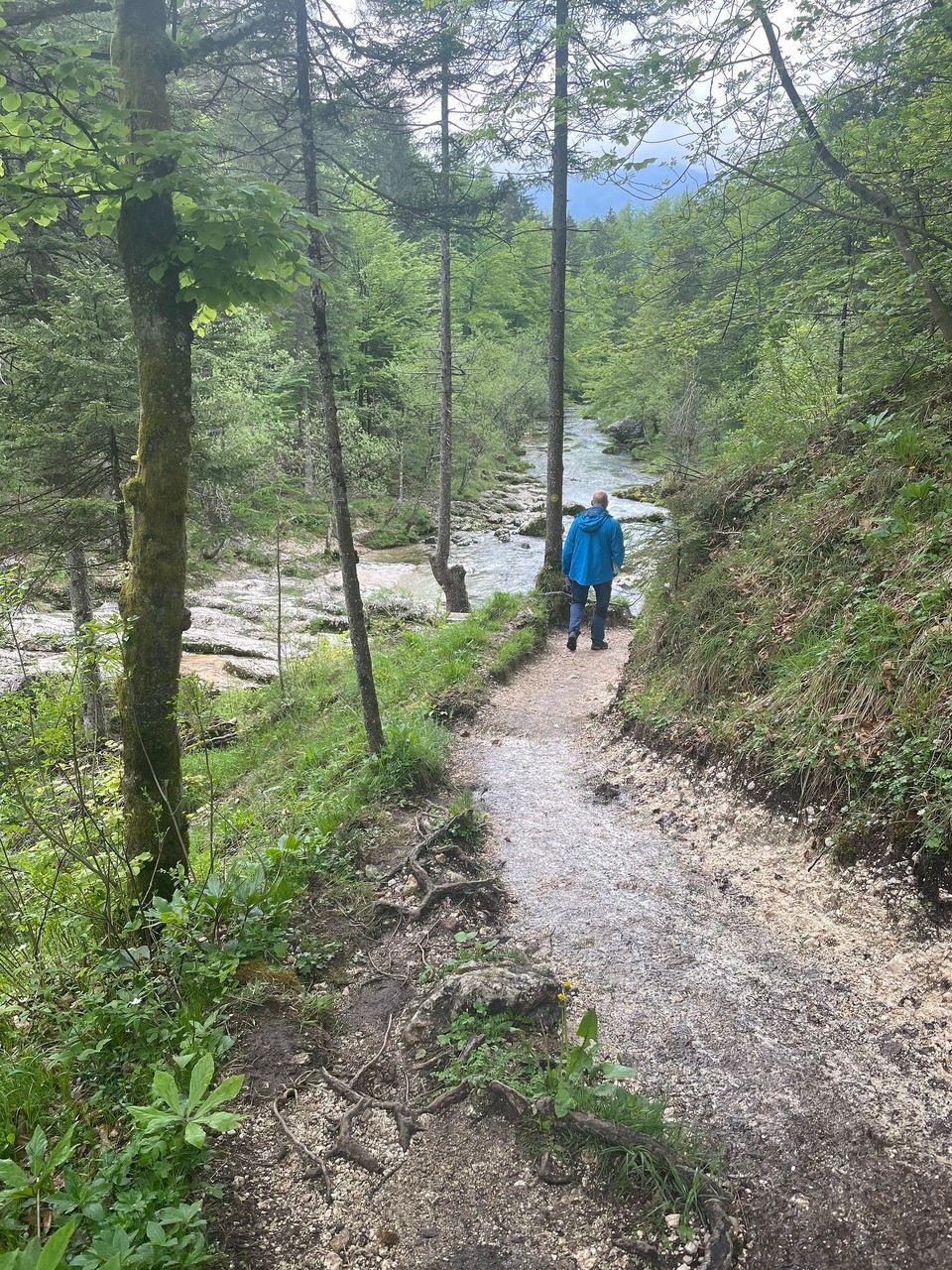 Slowenien - Bohinjsko Jezero - 