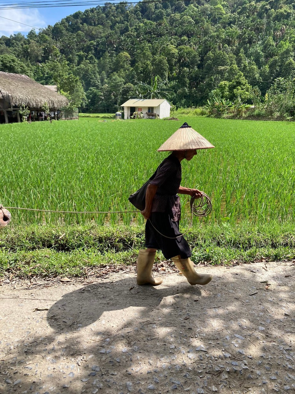 Vietnam - Vi Xuyen - Letzter Stopp der Tour - ein älteres Dorf, durch das wir laufen dürfen