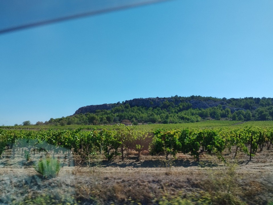 Frankreich - Avignon - 