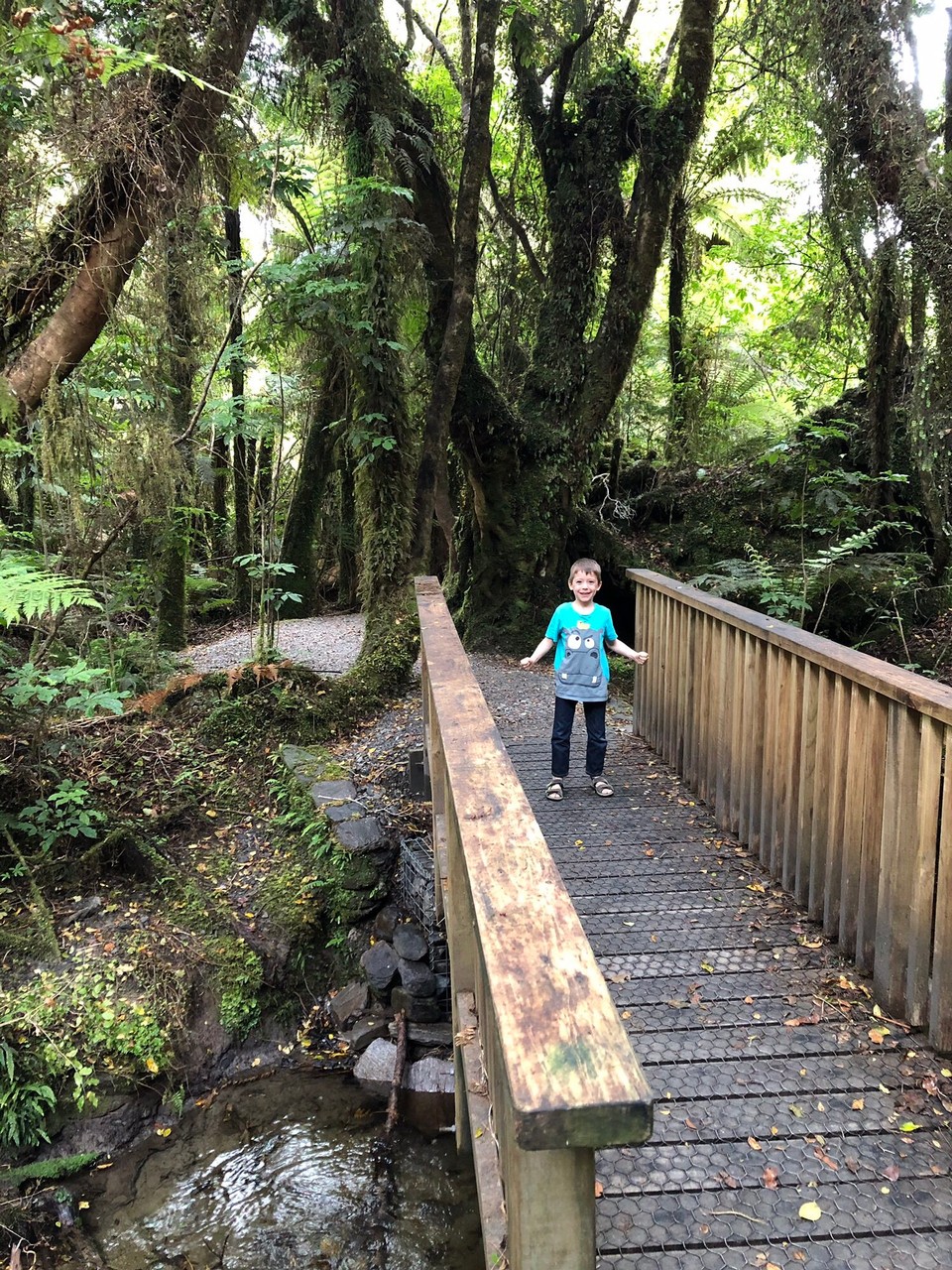 Neuseeland - Fox Glacier - 
