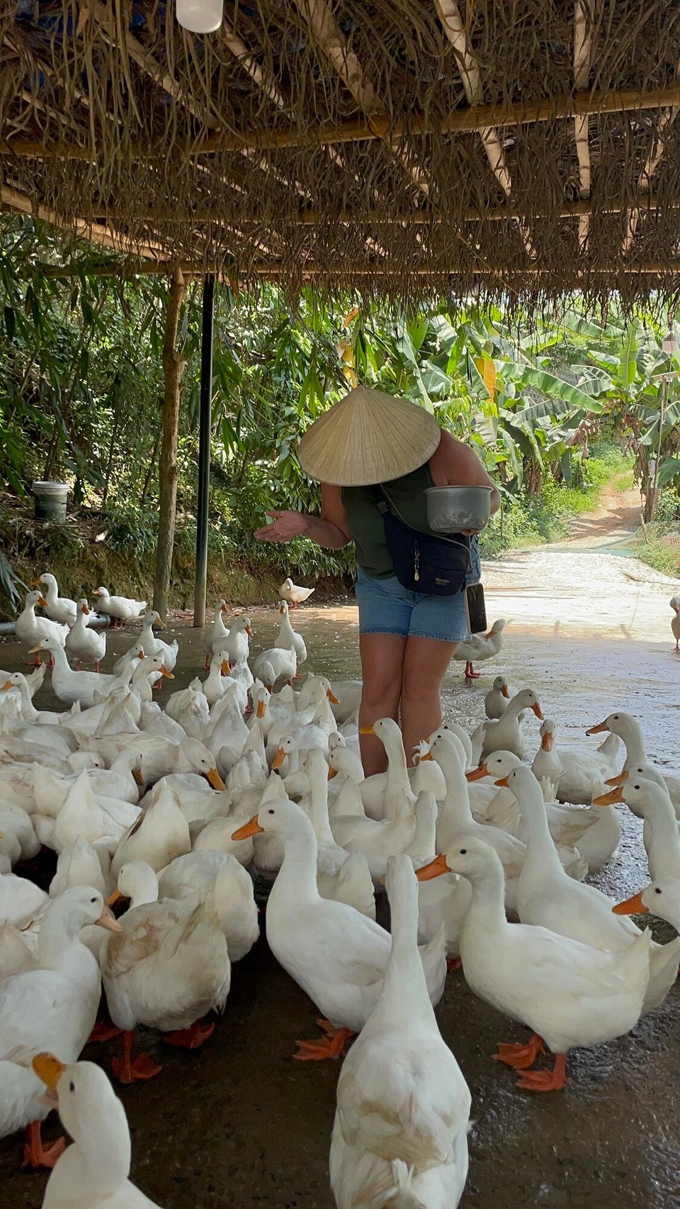 Vietnam - Bo Trach - 