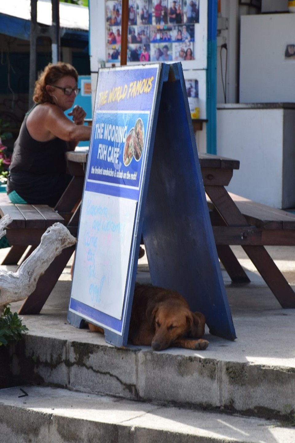 Cookinseln - Rarotonga - 
