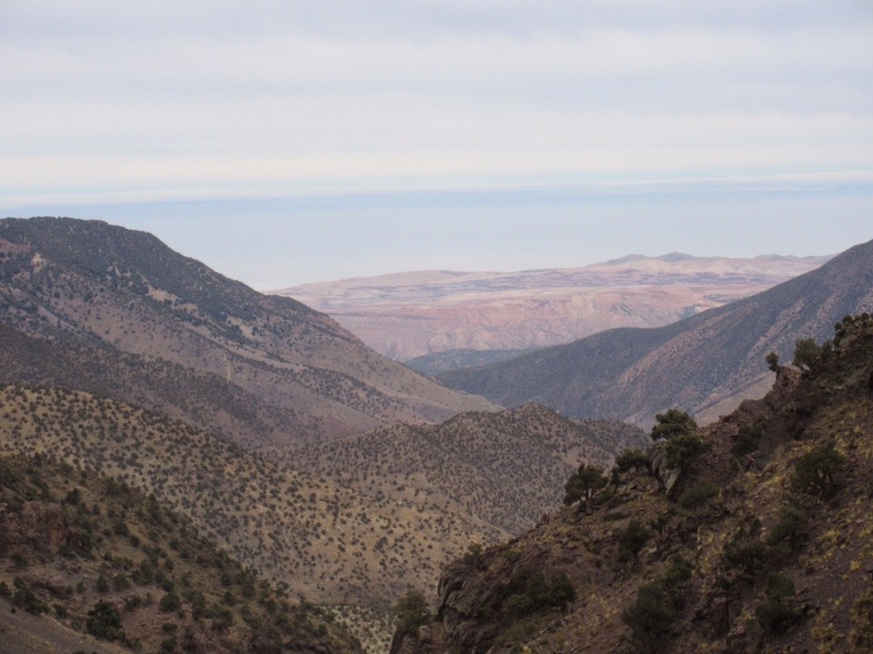 Morocco - Taroudant - 