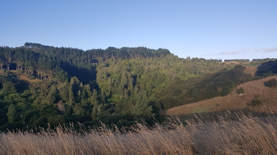 Neuseeland - Mangatawhiri - Der Blick über das Kloster Gelände.