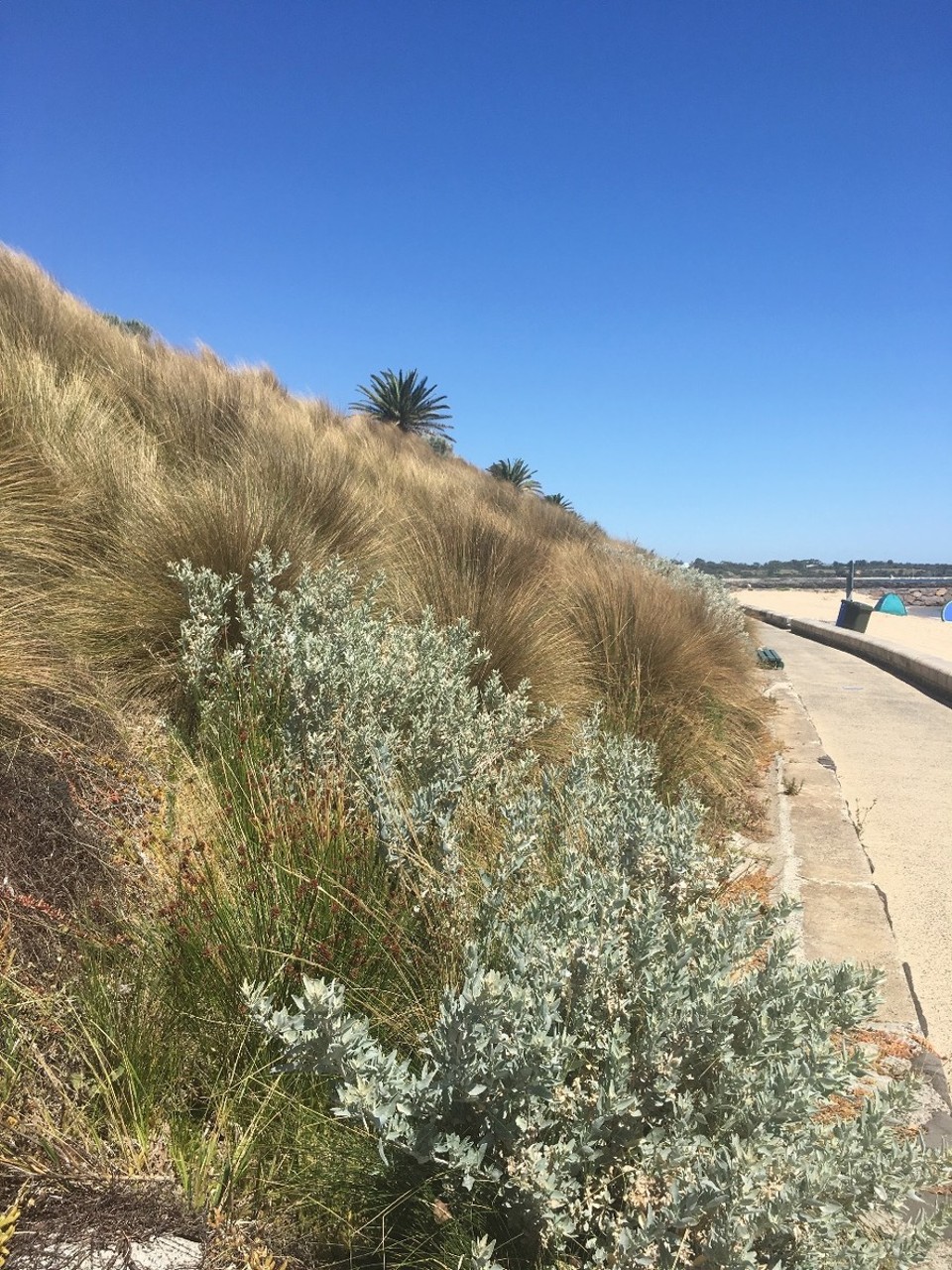 Australien - Melbourne - 