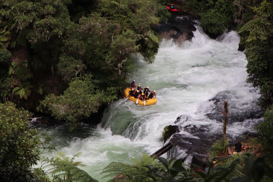 Neuseeland - Matakana Island - 