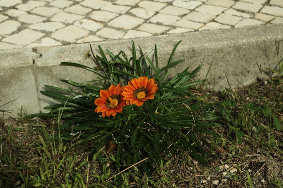 Portugal - Aljezur - 