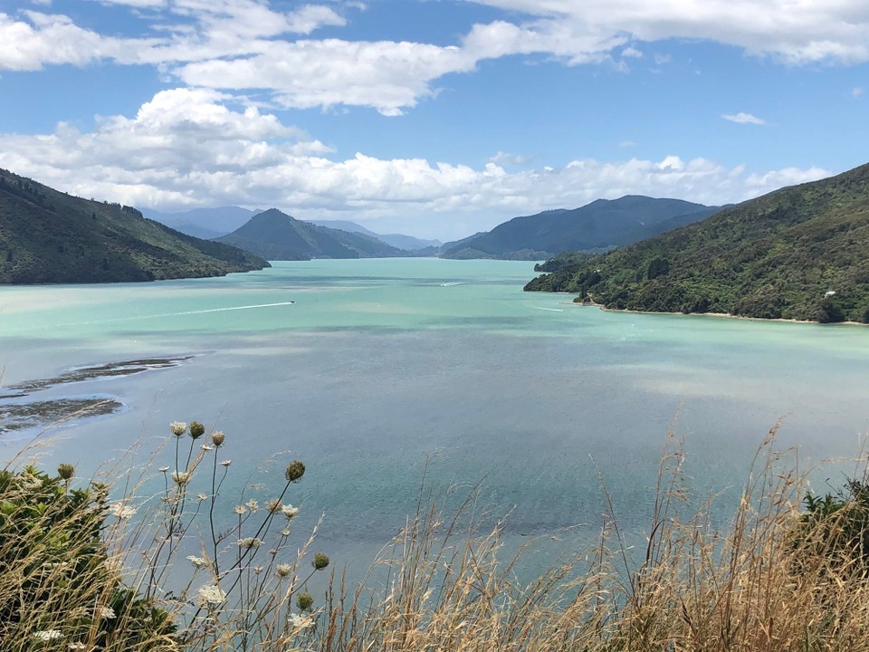 Neuseeland - Picton - Queen Charlotte Sound 