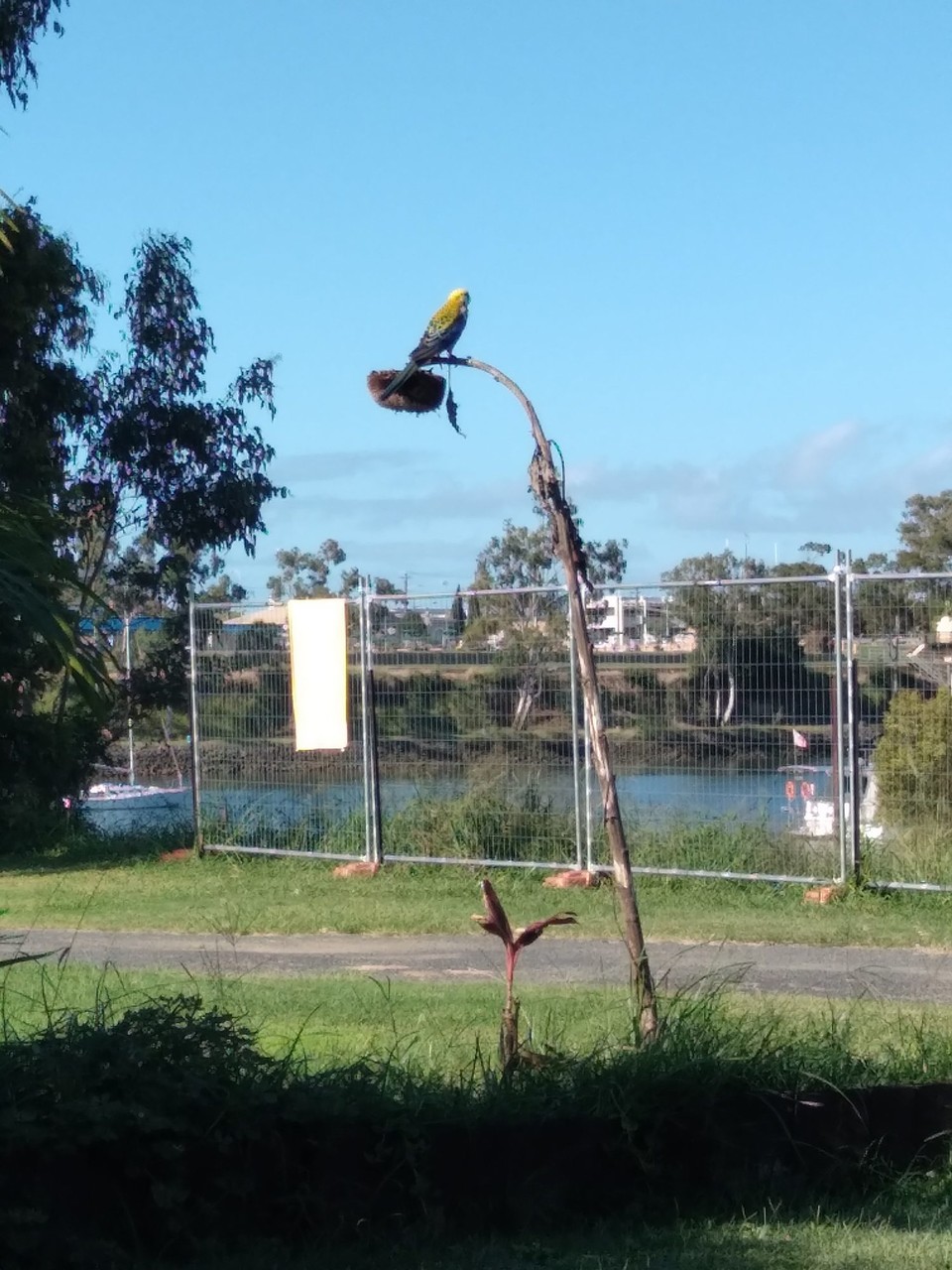 Australien - Bundaberg - 