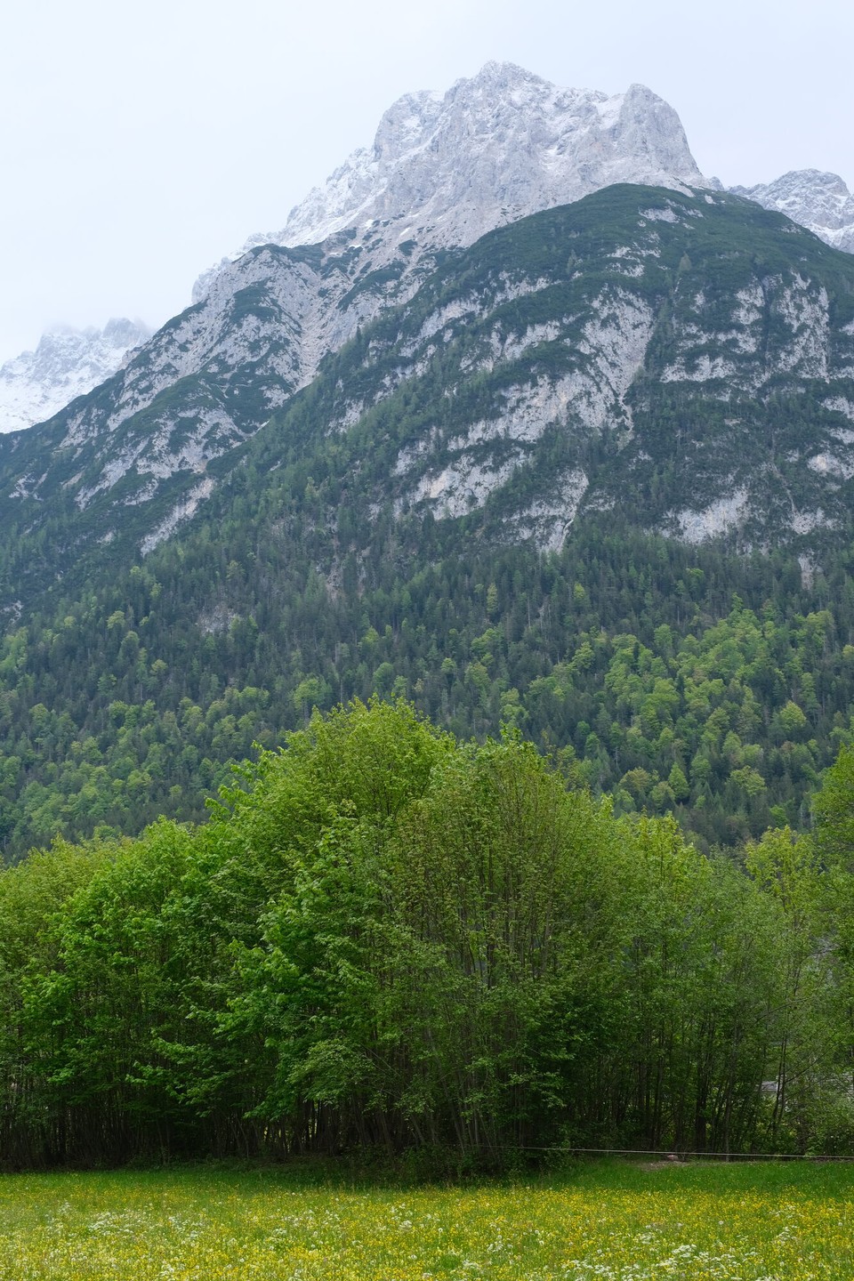 Österreich - Leutasch - 