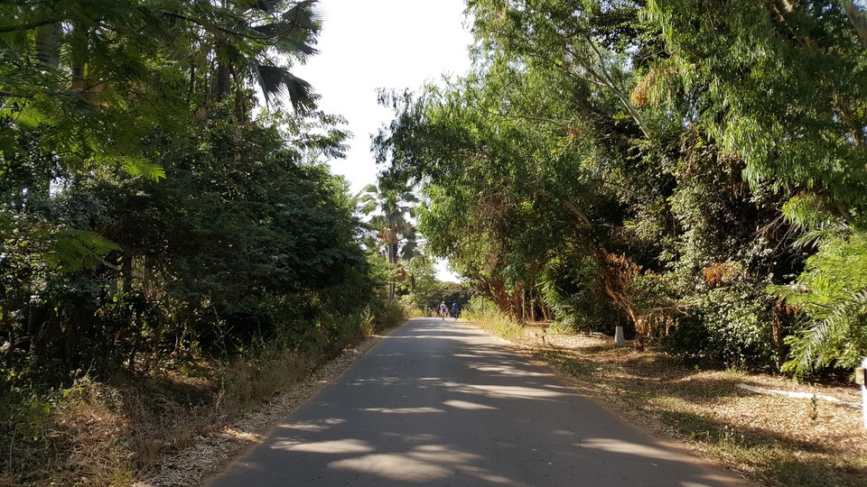 Gambia -  - 