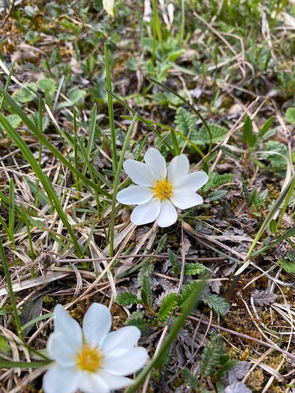 Deutschland - Ramsau bei Berchtesgaden - 