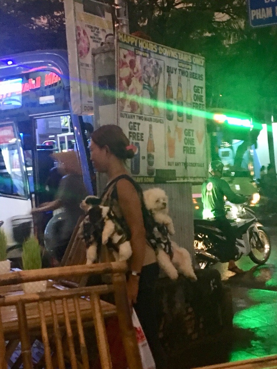 Vietnam - Ho-Chi-Minh Stadt - 🐶