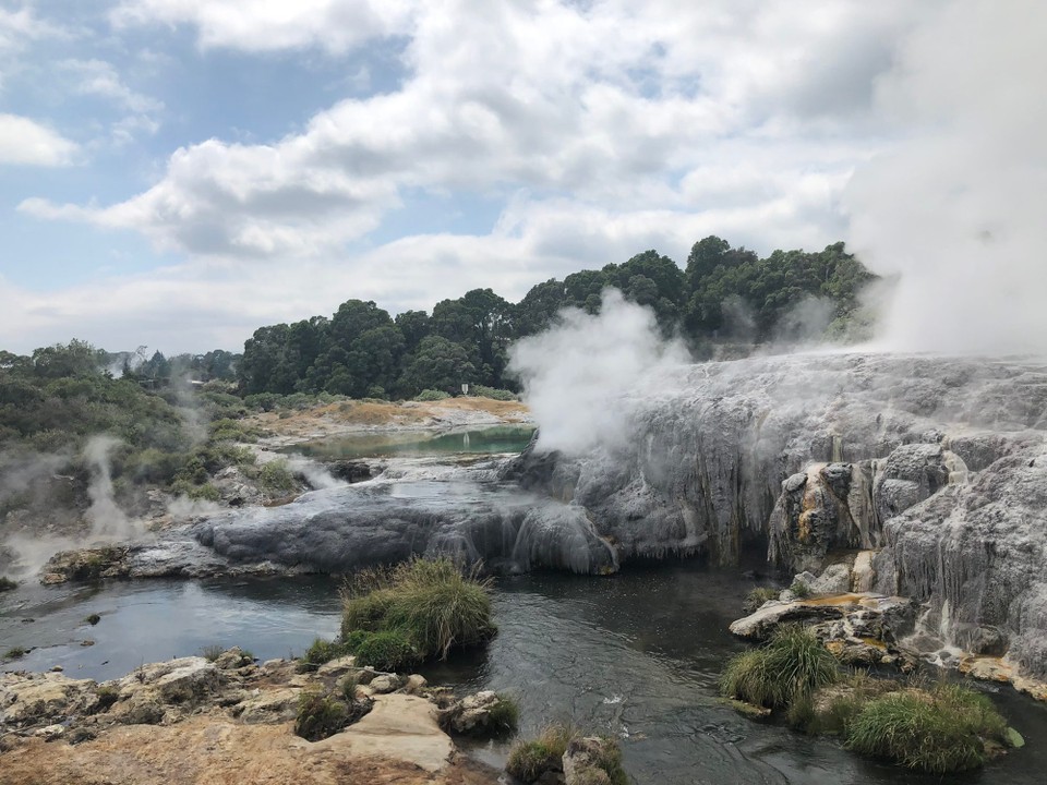 Neuseeland - Whakarewarewa - 