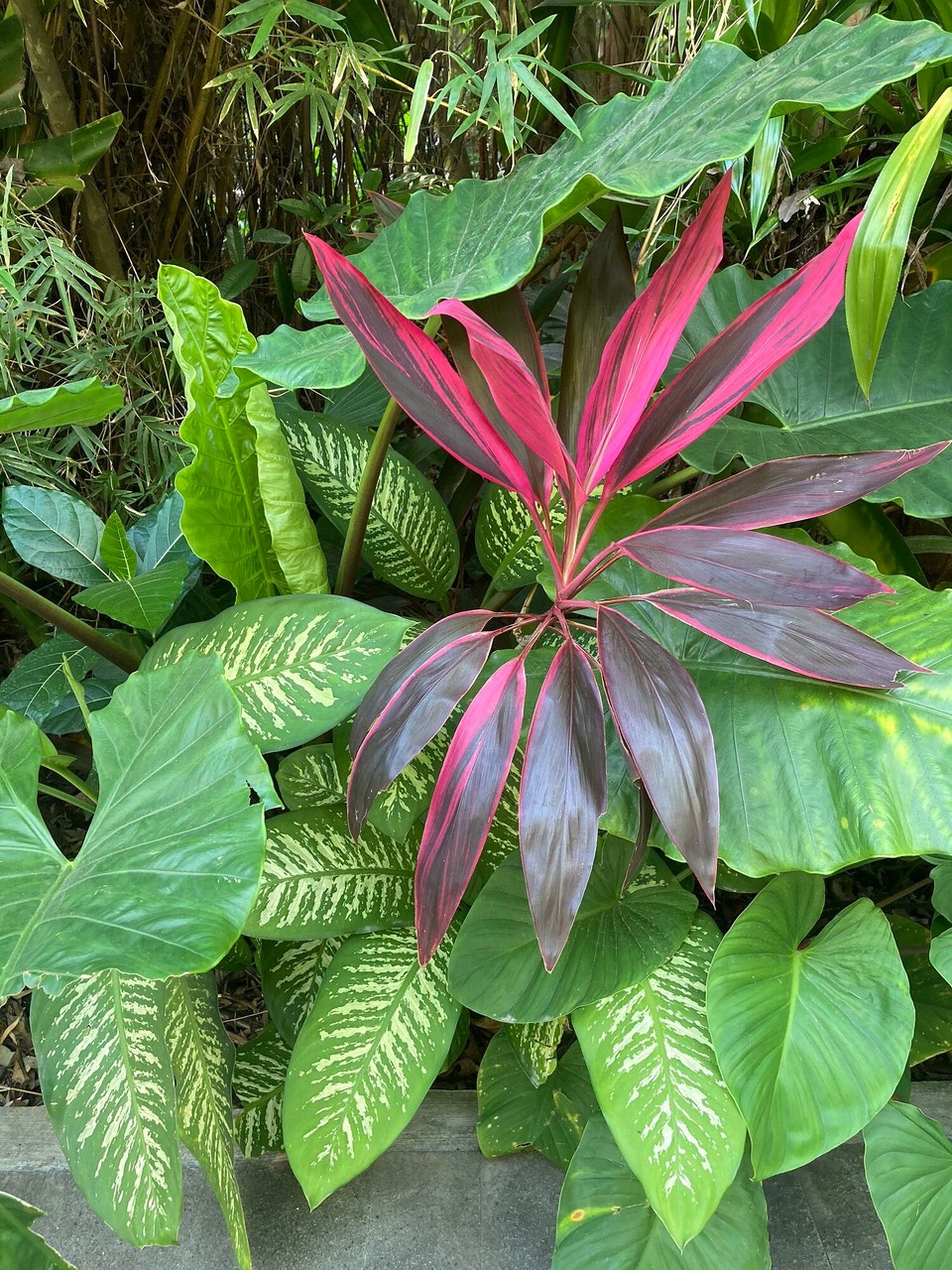 Indonesien - Gianyar - 