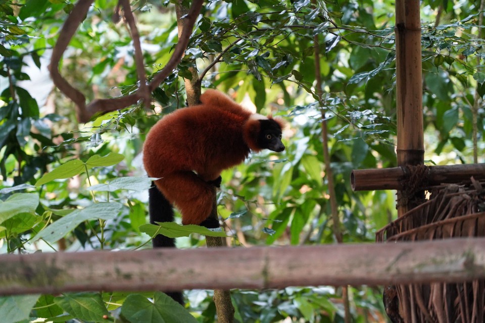 Schweiz - Zürich - wollte sich die Zuschauer etwas näher anschauen....