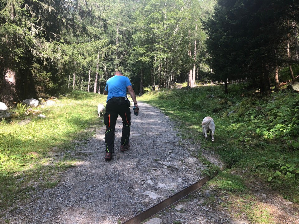 Frankreich - Chamonix - Steil Bergauf ... 