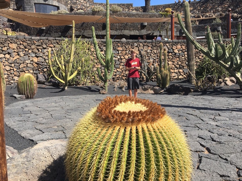  - Jardin de Cactus - Sebastian auf der Suche nach " seinem" Kaktus. 