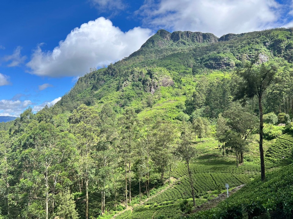 Sri Lanka -  - 