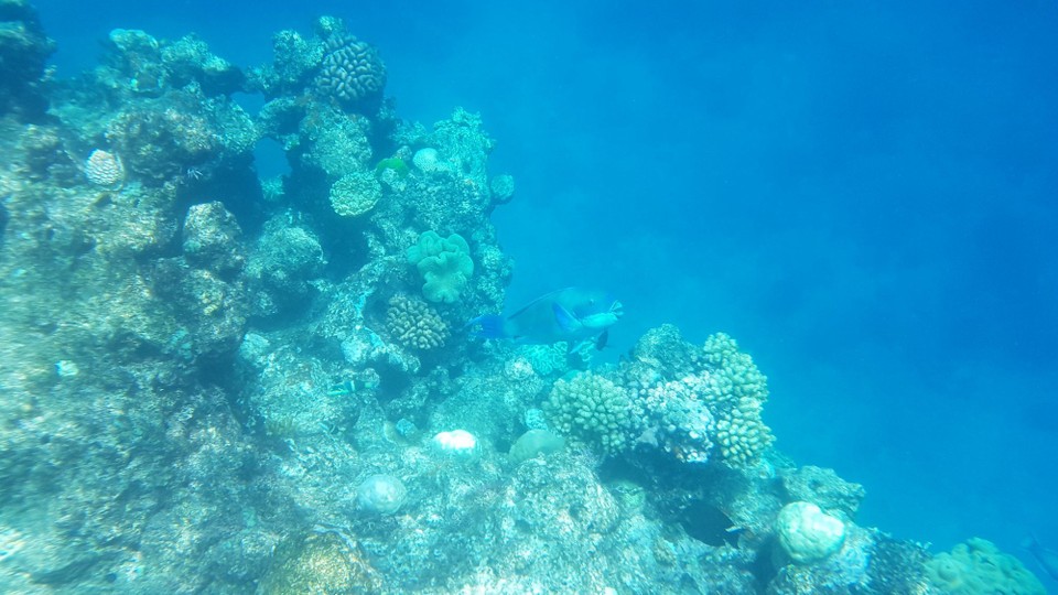 Australia - Cairns - 