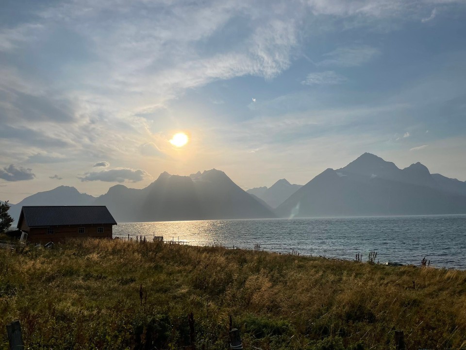 Norwegen - Storslett - 