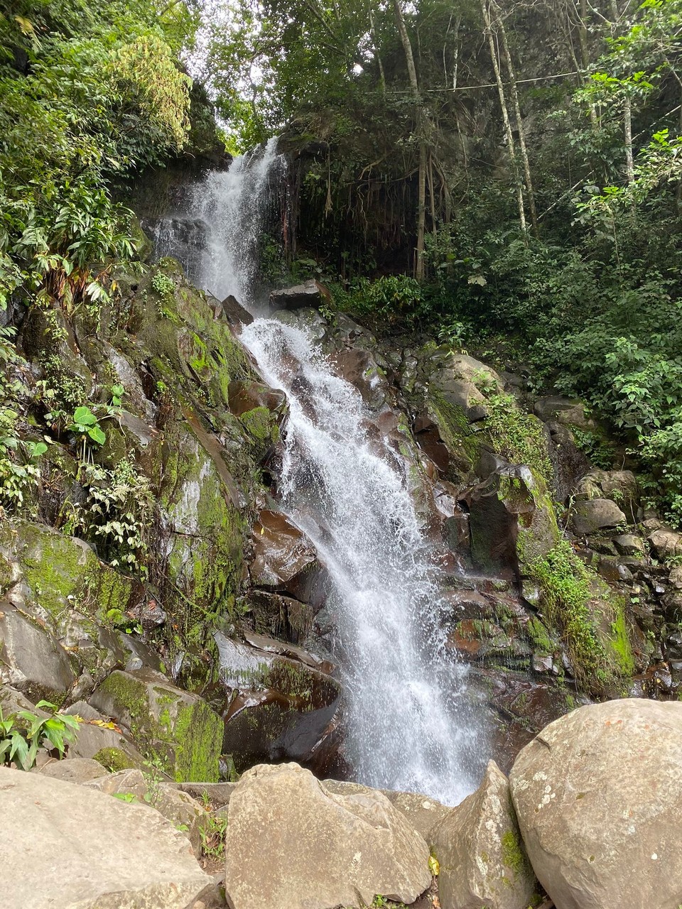 Panama - Boquete - 