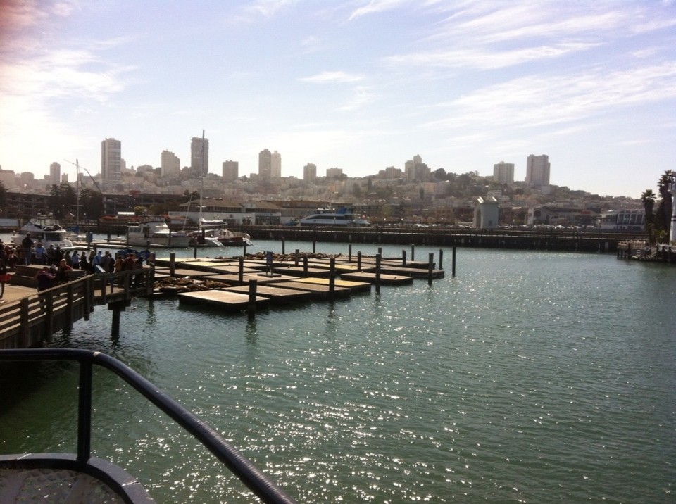 Egyesült Államok - San Francisco - 