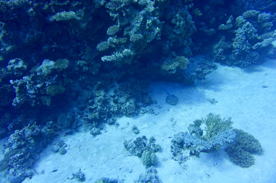 Ägypten - Marsa Alam - Die Wasserpolizei war auch dort, ist eben Grenzgebiet.