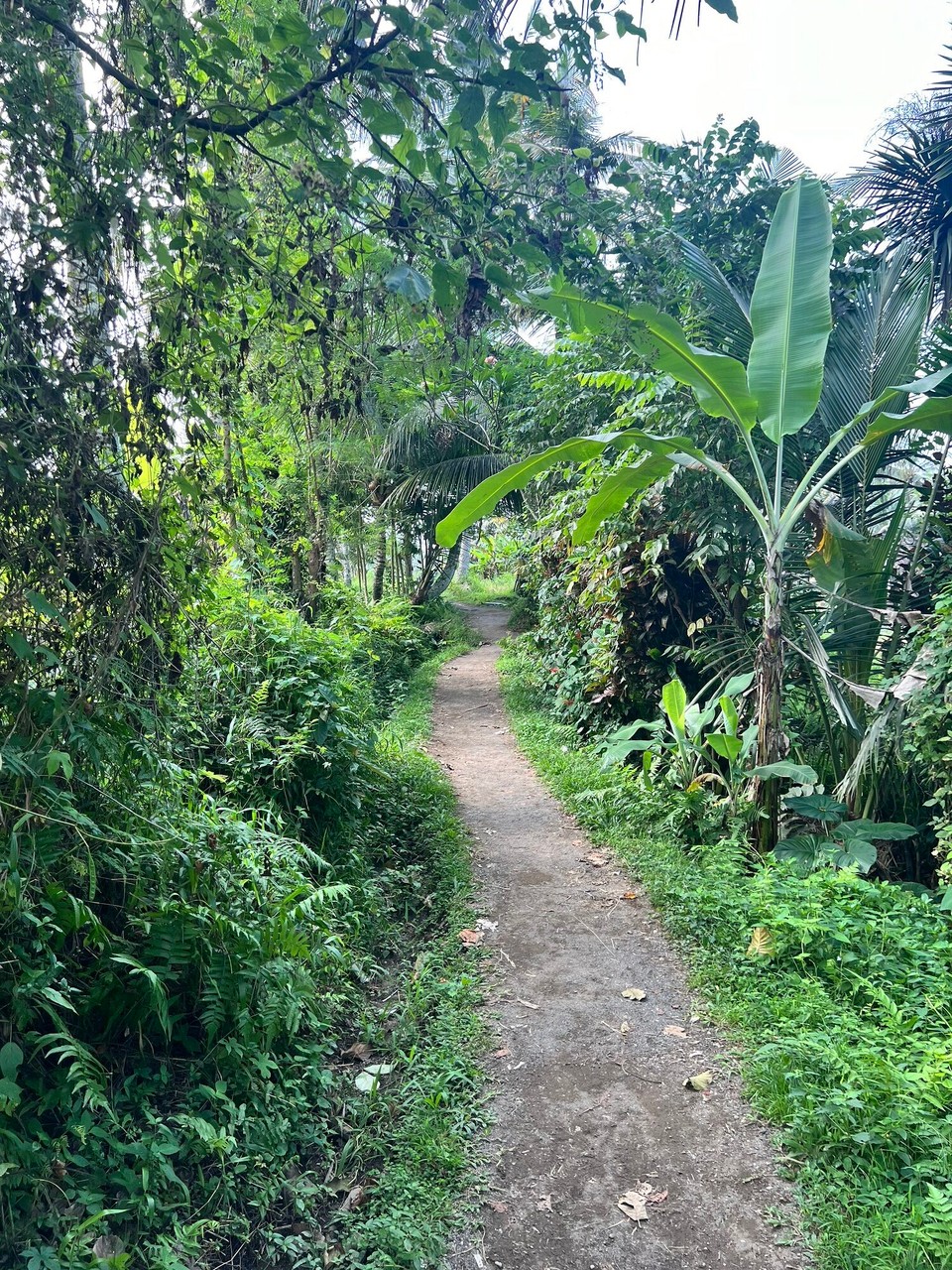 Indonesien - Gianyar - 