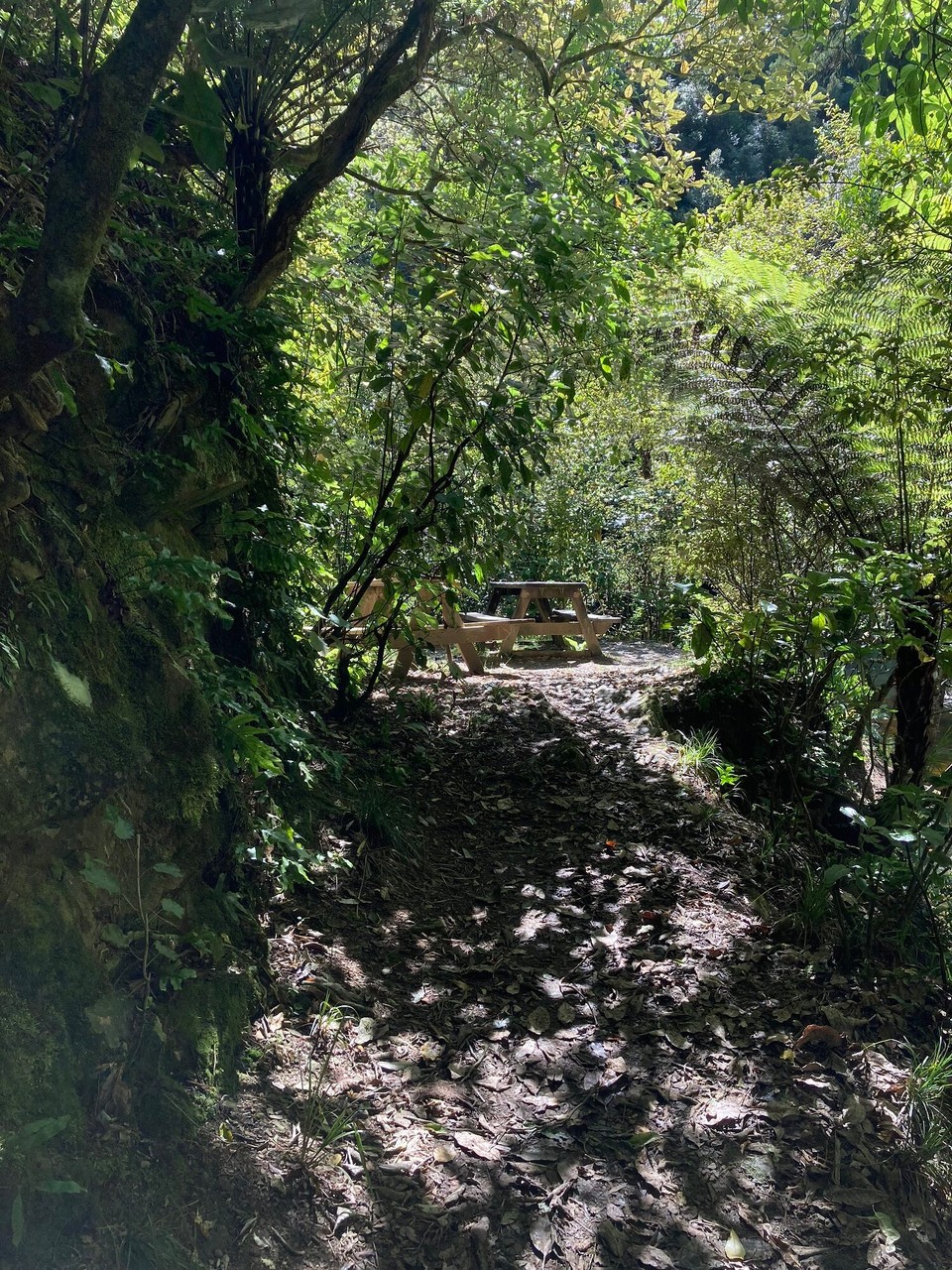 Neuseeland - Picton - 