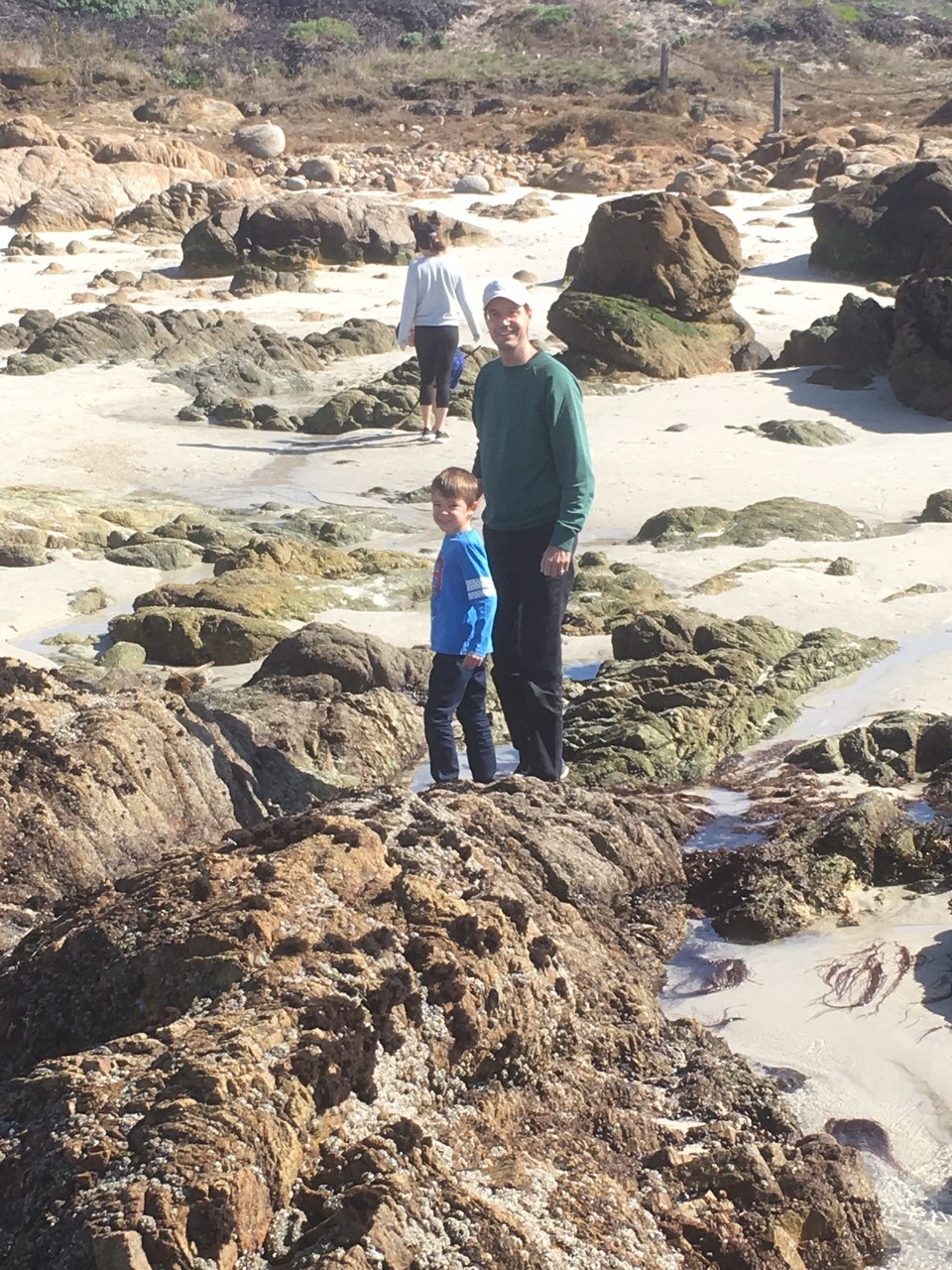 Vereinigte Staaten - Monterey - Am Strand bei Niedrigwasser.