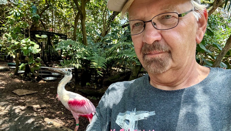 Vereinigte Staaten - Tampa - 