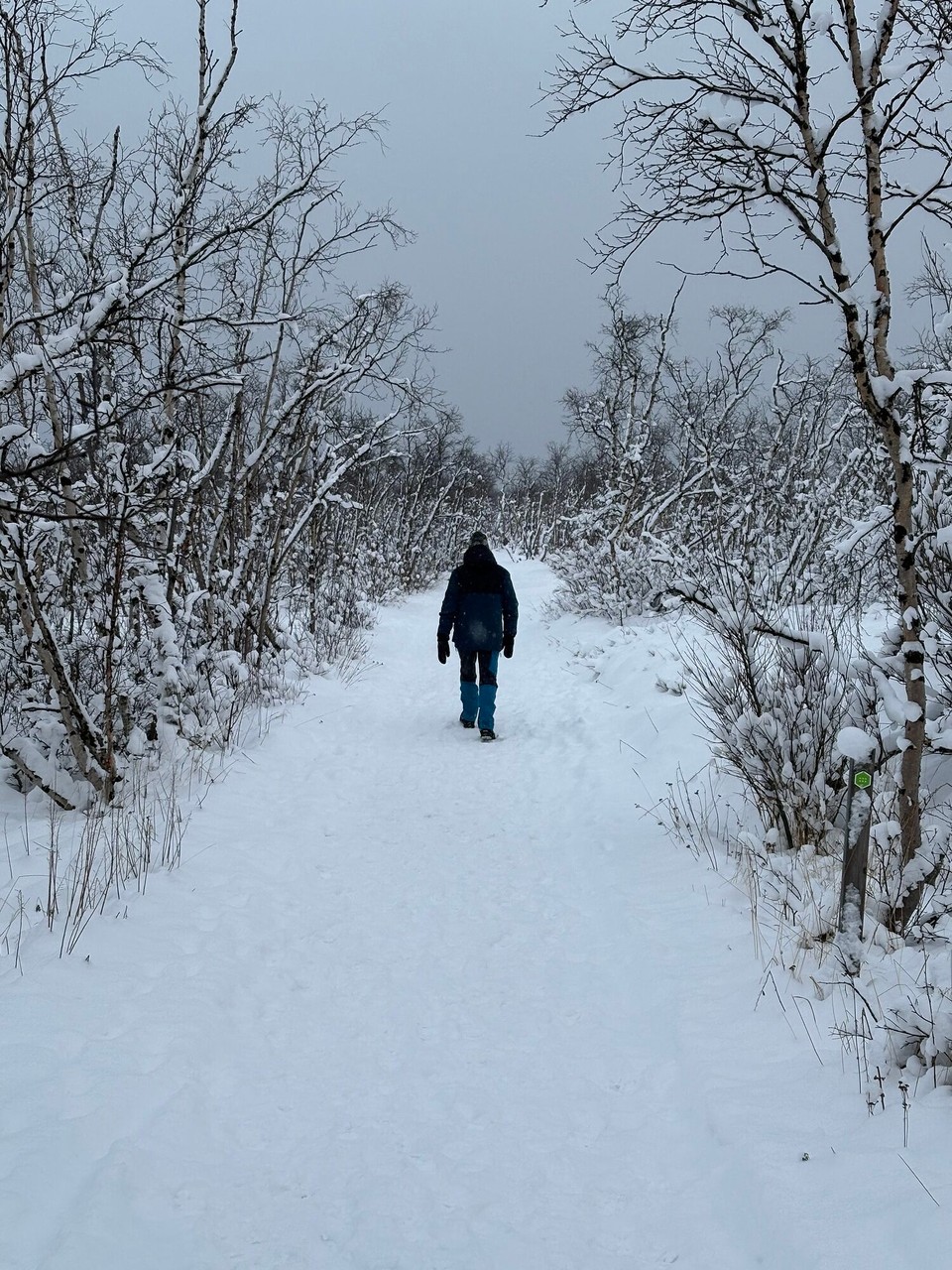 Schweden - Abisko - Los geht’s 